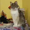 Отзыв от Мария Симонова